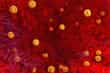 photo of coronavirus