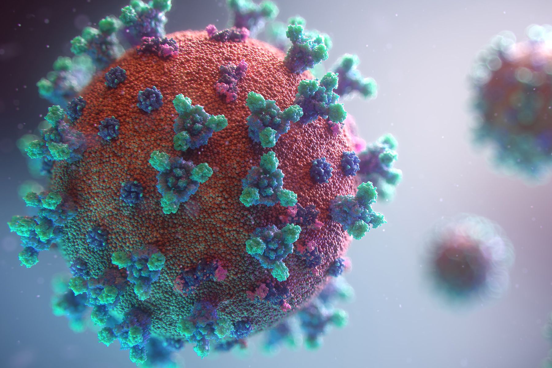 photo of corona virus illustration