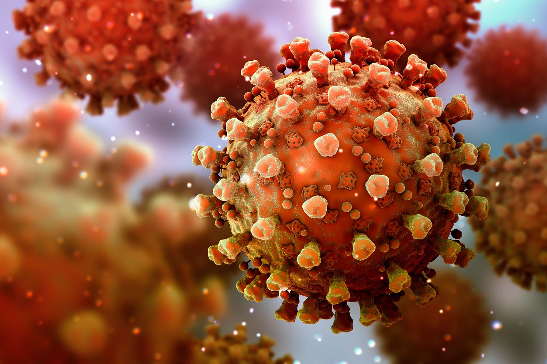 photo of coronavirus